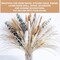pompas Grass Dried Flowers Arrangement for Centerpiece Table Decor(White,green,yellow,red,beige)